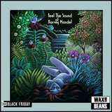 Harvey Mandel - Feel the Sound (1LP) (BF24)