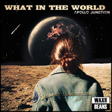 Apollo Junction - What In The World (Digipack CD)