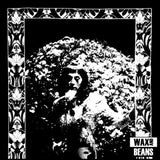 Cindy Lee - Model Express (1LP)