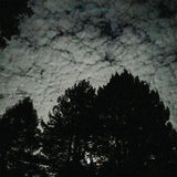 Carlton Melton  - Night Pillers (White LP) RSD2021