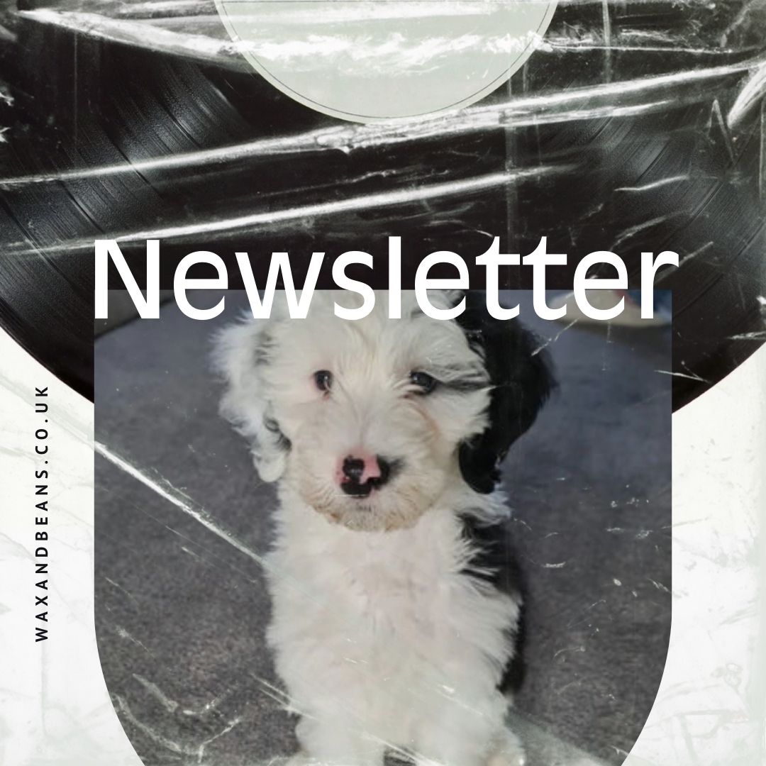 Newsletter #5