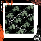 Shakespears Sister - Black Sky (12" Glow In The Dark Vinyl) (RSD25)