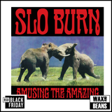 Slo Burn - Amusing The Amazing (LP) (BF25)