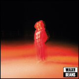 Katherine Priddy - These Frightening Machines (Indies Grey Marble Vinyl)