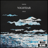 David Gray - Nightjar (2LP)