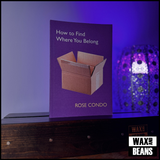 Rose Condo - How to Find Where You Belong (Paperback Book)