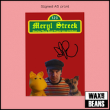 Meryl Streek - Stories They Don’t Teach You At School (Dinked Edition 419) (Clear w/ Red Splatter Vinyl + Alt Artwork + Signed A5 Print) (Numbered)