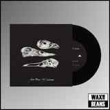 Jason Molina / MJ Lenderman - The Last Three Human Words (Demo) / Just Be Simple (Cover) (7")
