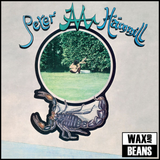 Peter Hammill - Chameleon In The Shadow of The Night (2026 Reissue) (1LP)