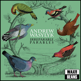 Andrew Wasylyk - Irreparable Parables (1CD)