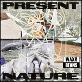 Present Nature - Present Nature (1LP)