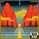 Altin Gun - Ask (1LP)