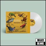 Andrew Wasylyk - Irreparable Parables (White Vinyl)