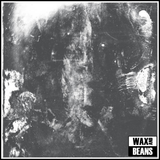 Rotting Sky - Sedation (2026 Reissue) (1LP)