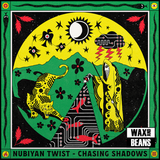 Nubiyan Twist - Chasing Shadows (CD)