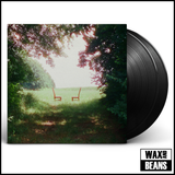 Ratboys - Singin' To An Empty Chair (2LP)