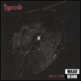 Tigercub - Nets To Catch The Wind (CD)