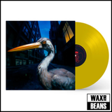 Antony Szmierek - Live In-Store + Signing (Ticket + Beak Yellow LP) - Monday 30th November - Doors 7pm