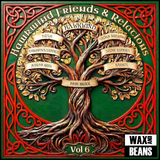 Hawkwind - Friends & Relations: Vol. 6 (2LP)