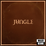 Jungle - Sunshine (1CD)