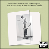White Flowers - Dreams For Somebody Else (Dinked Edition 395) (Transparent Vinyl + Alternate Artwork + A6 Dream Diary + Bonus CD)