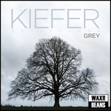 Kiefer Sutherland - Grey (Indies White Vinyl + 12" x 12" Artwork) Slight corner dink to the top RHS of sleeve