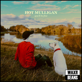 Hot Mulligan - You'll Be Fine (2026 Reissue) (Silver Teal Vinyl)