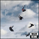 Giant Rooks - Rookery (2LP)