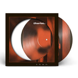 The Charlatans - Then (Limited Edition Picture Disc) (RSD26)