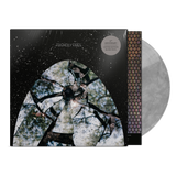 Friendly Fires - Friendly Fires (15th Anniversary Edition)