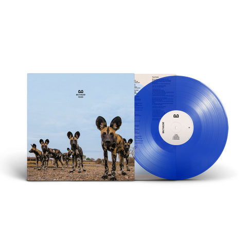 Balthazar - Fever (Transparent Blue Vinyl)