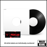 KNEECAP - FENIAN (1LP White Label) + Magazine + Stickers