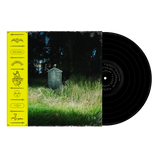 Frank Carter & The Rattlesnakes - Dark Rainbow (1LP)