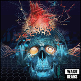 Papa Roach - The Connection (2025 Reissue) (Indies Dark Blue Vinyl)