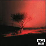 Joji - Piss In The Wind (1LP)