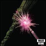 Various Artists - Wicked For Good: The Soundtrack (Picture Disc) (BF25)