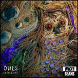 Owls - Rare Birds (1LP)