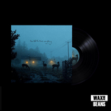 Dermot Kennedy - I’ve Told The Trees Everything (4 Track Black Vinyl EP)
