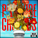 Sandra's Wedding - Pleasure Grounds (Numbered Splatter Vinyl + Official Souvenir Programme)