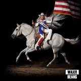 Beyoncé - COWBOY CARTER OFFICIAL VINYL (2LP Vinyl)