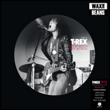 T.Rex - T. Rex: Solid Gold Easy Action / Xmas Riff - Born To Boogie (7" Picture Disc)