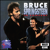 Bruce Springsteen - In Concert: MTV Unplugged (2LP)