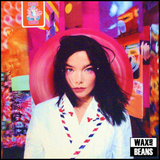 Bjork - Post (1LP)