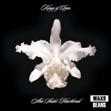 Kings Of Leon - Aha Shake Heartbreak (2LP)