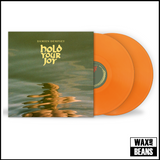 Damien Dempsey - Hold Your Joy (2LP Orange Vinyl)