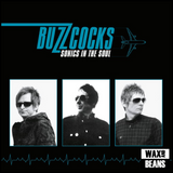 Buzzcocks - Sonics In The Soul (1LP)