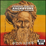 Congo Natty - Ancestorz (Rootz Of Jungle) (2LP)