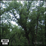 Julianna Barwick - The Magic Place (2024 Remaster) (1LP)