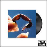 Squid - Cowards (1LP)