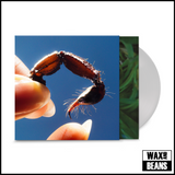 Squid - Cowards (Clear Vinyl)